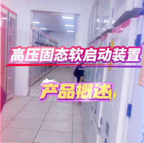 高壓固態(tài)軟起動(dòng)裝置 高壓固態(tài)軟起動(dòng)柜 一體化高壓固態(tài)軟起動(dòng)柜